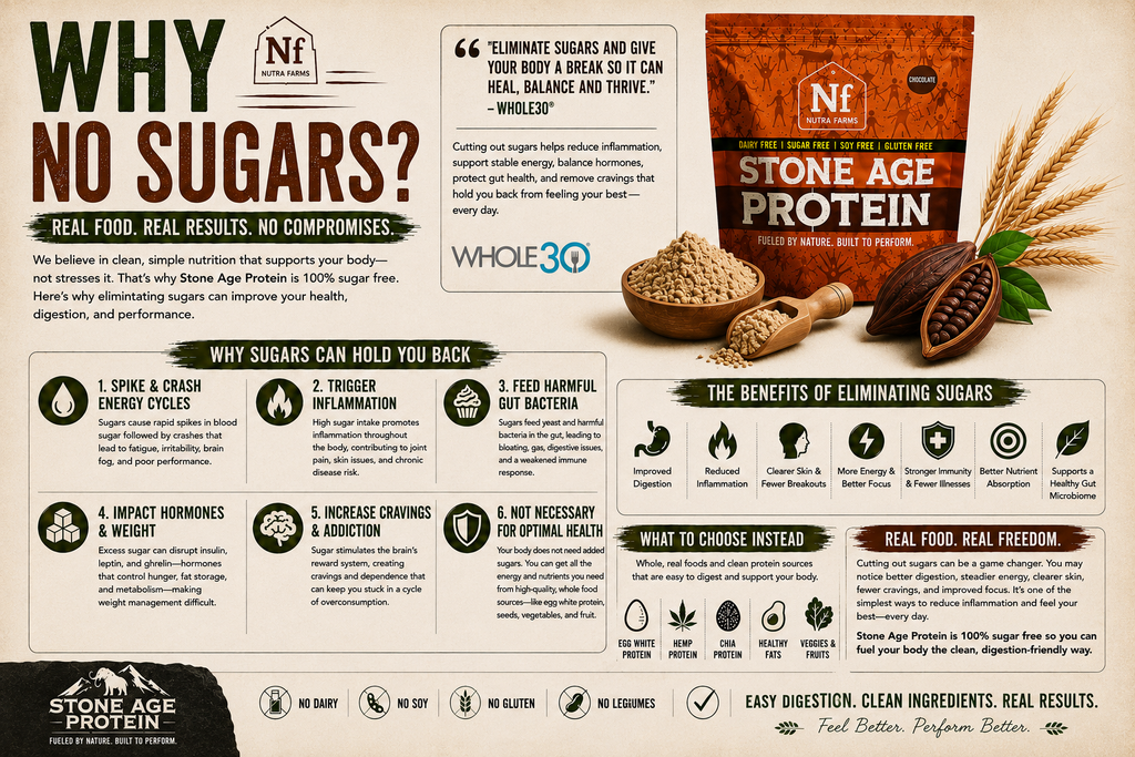 Stone Age Protein – Vanilla (30 Servings) | Tri-Blend, Dairy-Free, Sugar-Free