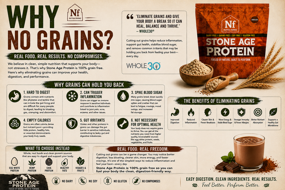 Stone Age Protein – Vanilla (30 Servings) | Tri-Blend, Dairy-Free, Sugar-Free