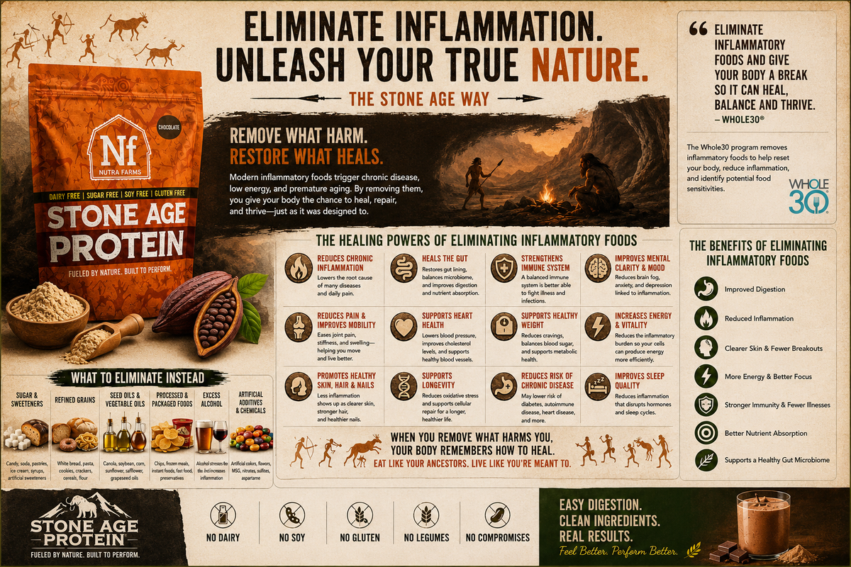 Stone Age Protein – Vanilla (30 Servings) | Tri-Blend, Dairy-Free, Sugar-Free